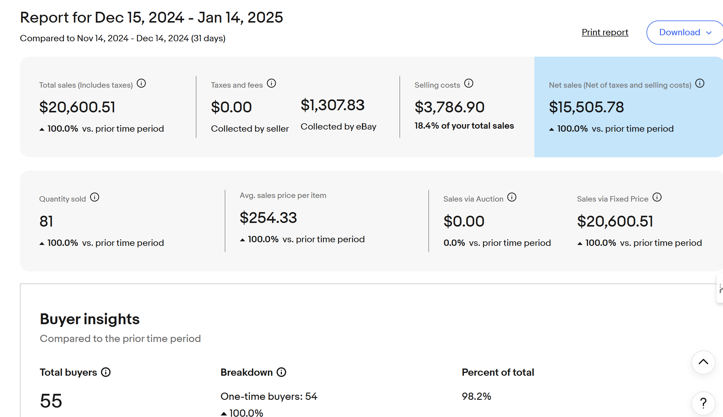 Sanitized eBay report showing $20,600.51 total sales, $15,505.78 net sales and a 100 percent increase versus the prior period